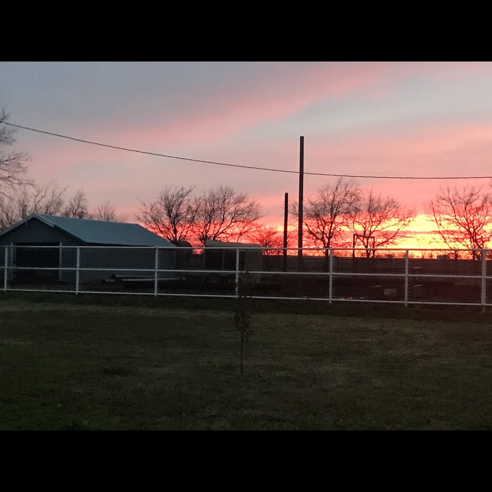 Meet your Posher, Dreama